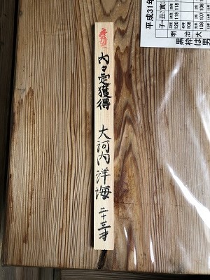 f:id:ats-forldn2012:20190627104759j:plain