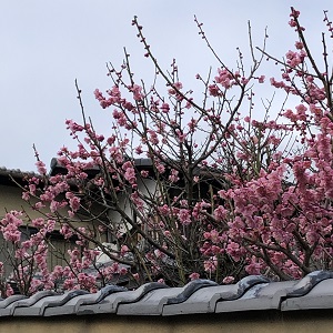 f:id:ats-forldn2012:20200301102923j:plain