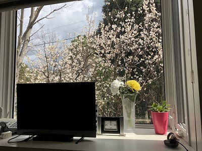 f:id:ats-forldn2012:20200311121542j:plain