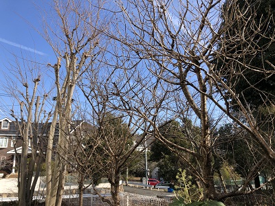 f:id:ats-forldn2012:20210209170640j:plain