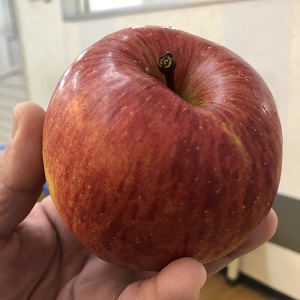 f:id:ats-forldn2012:20210225140418j:plain