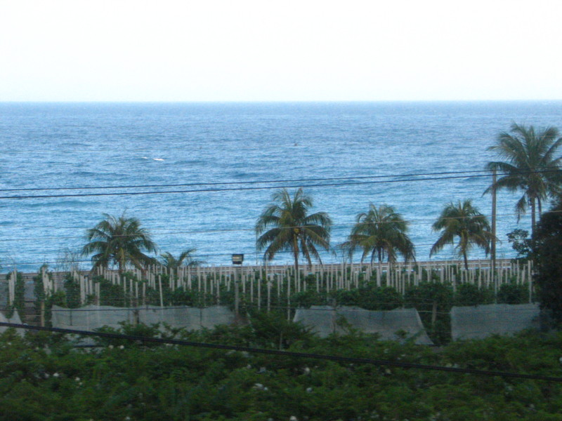 f:id:ats-n:20140218180937j:image:left