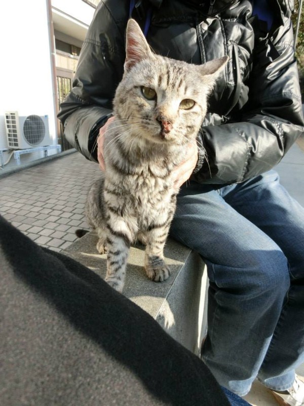 f:id:ats-n:20150121212918j:image