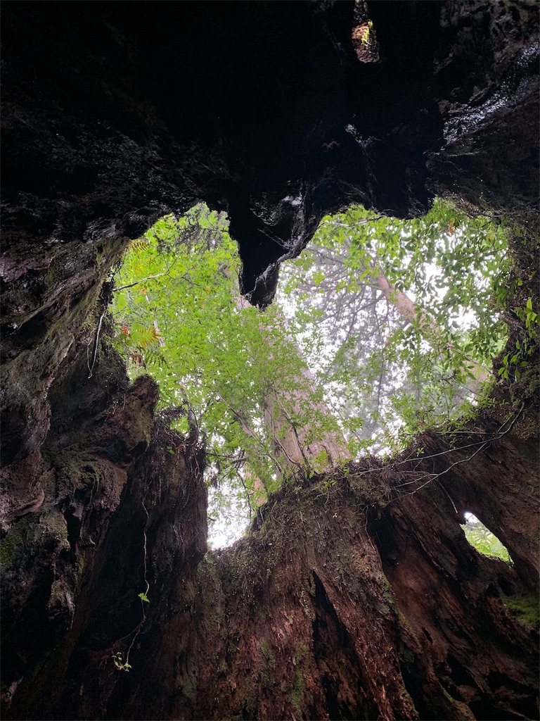 f:id:ats-saka:20190915202216j:image f:id:ats-saka:20190915202216j:image
