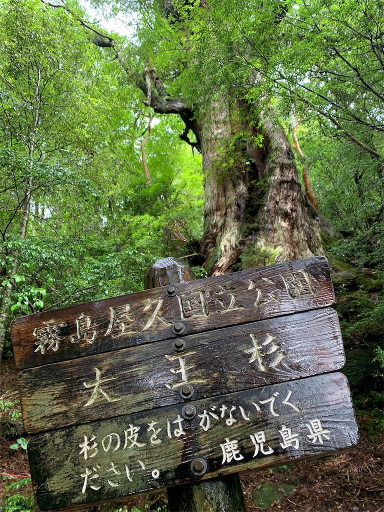 f:id:ats-saka:20190915202233j:image f:id:ats-saka:20190915202233j:image