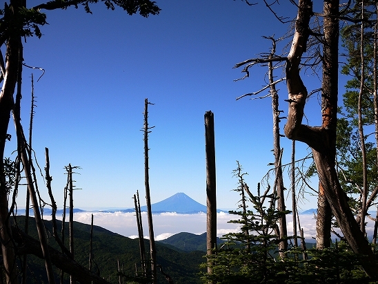 f:id:ats1109:20110814202214j:image