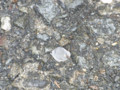 20090616142830