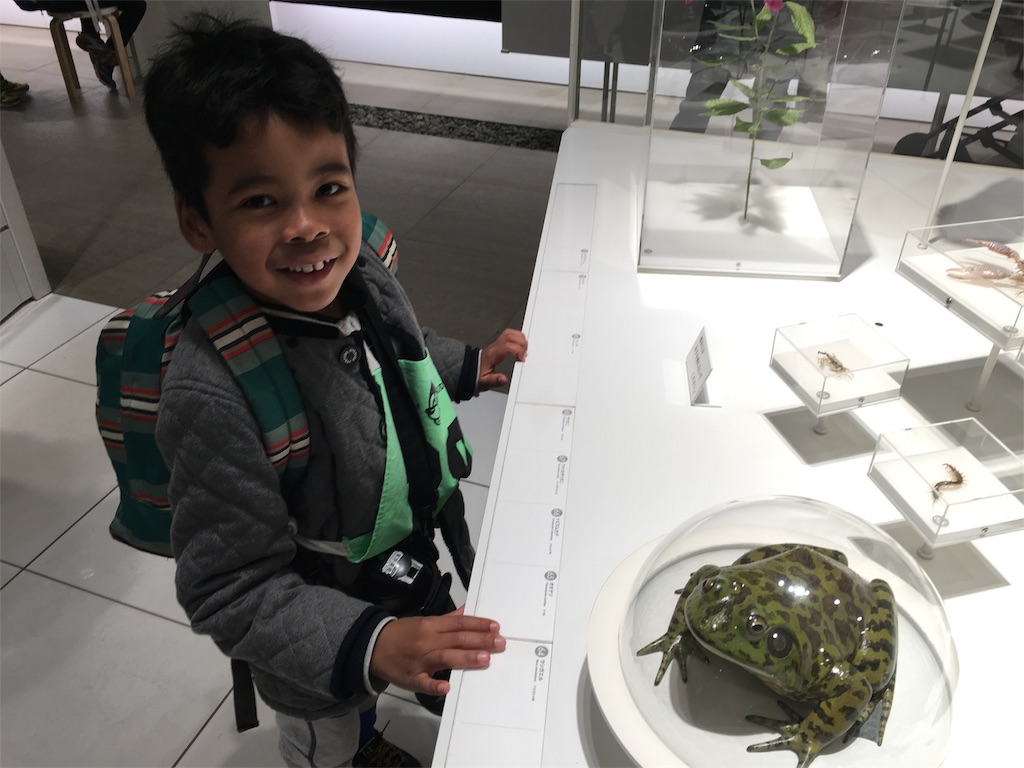 f:id:atsc:20190210142231j:image