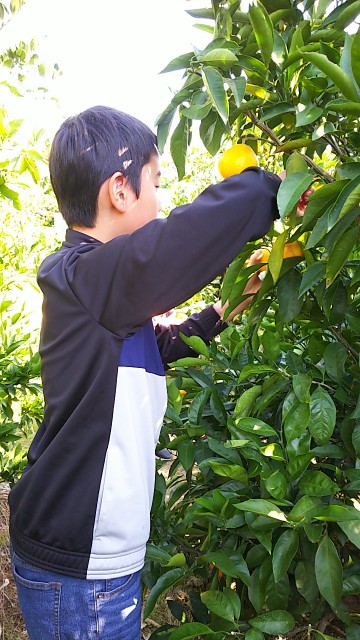 f:id:atsc:20191110124246j:image