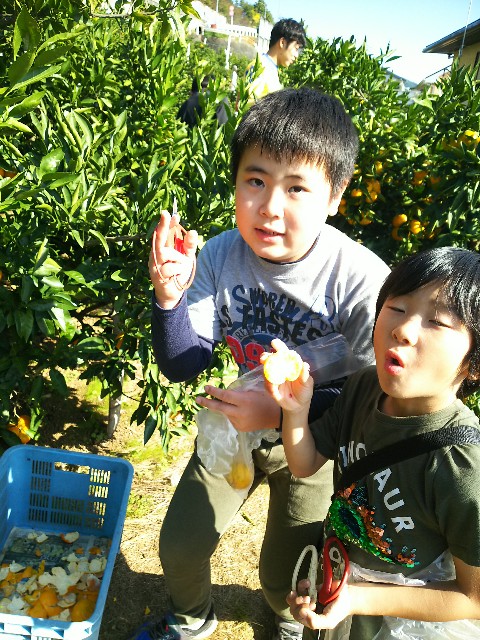 f:id:atsc:20191110124313j:image