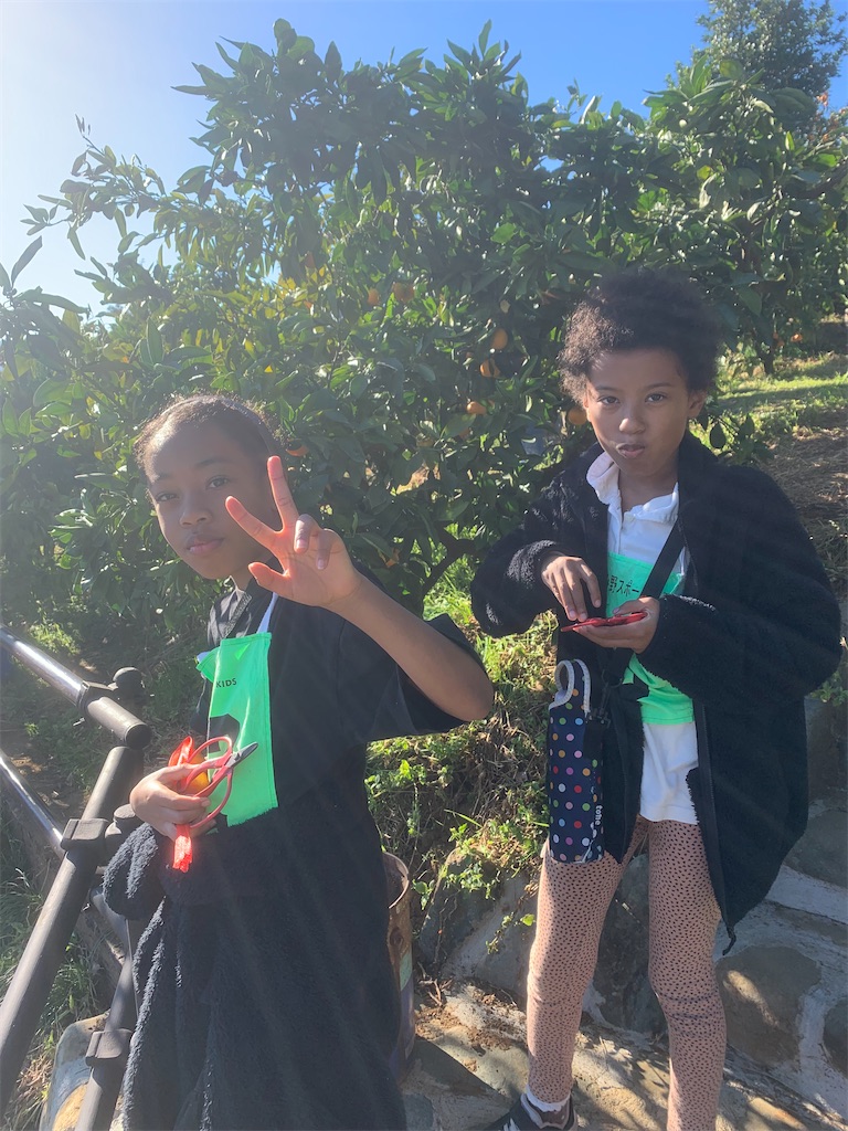 f:id:atsc:20231119135418j:image