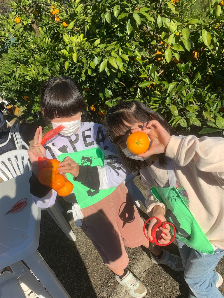 f:id:atsc:20231119140756j:image
