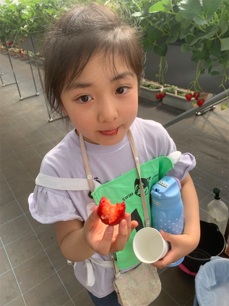 f:id:atsc:20240414141823j:image