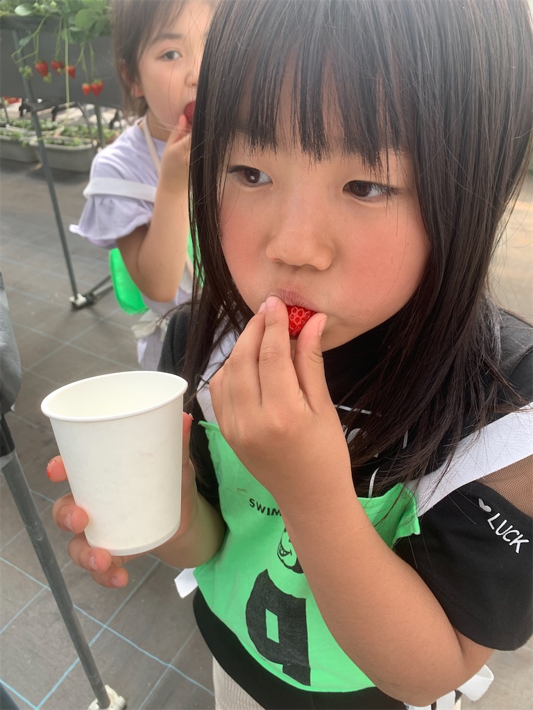 f:id:atsc:20240414141825j:image
