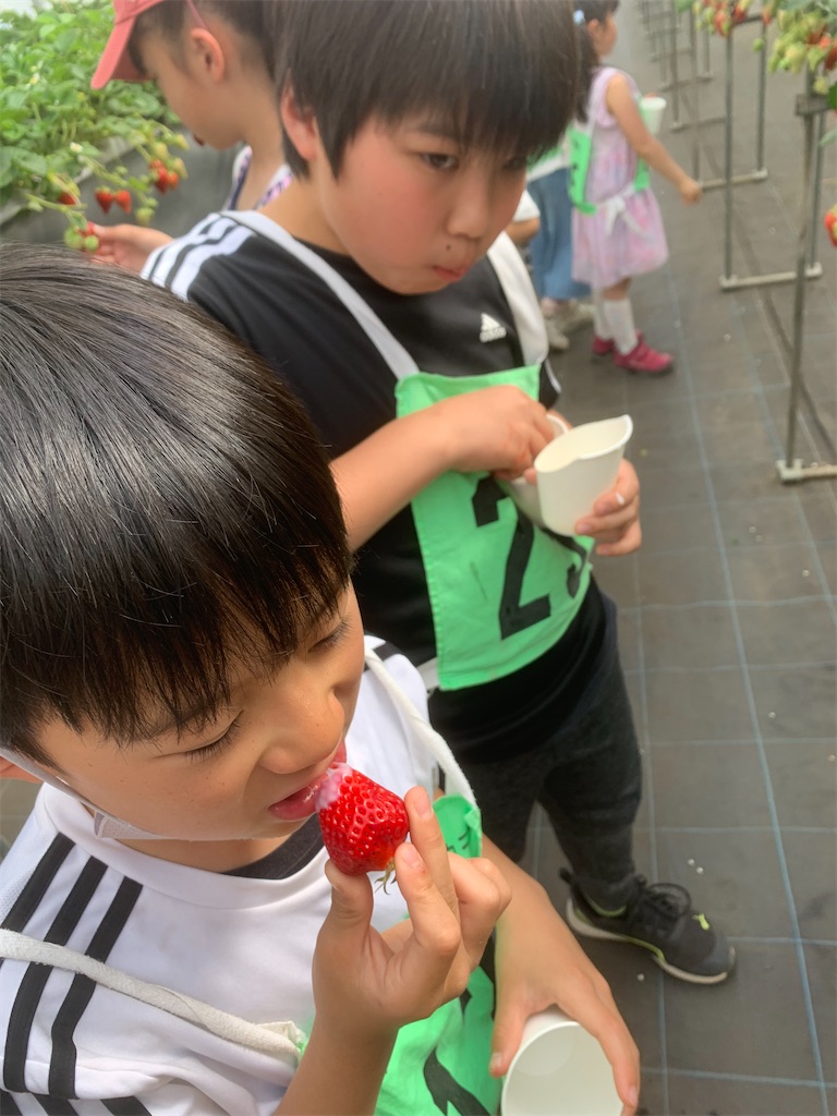 f:id:atsc:20240414141829j:image
