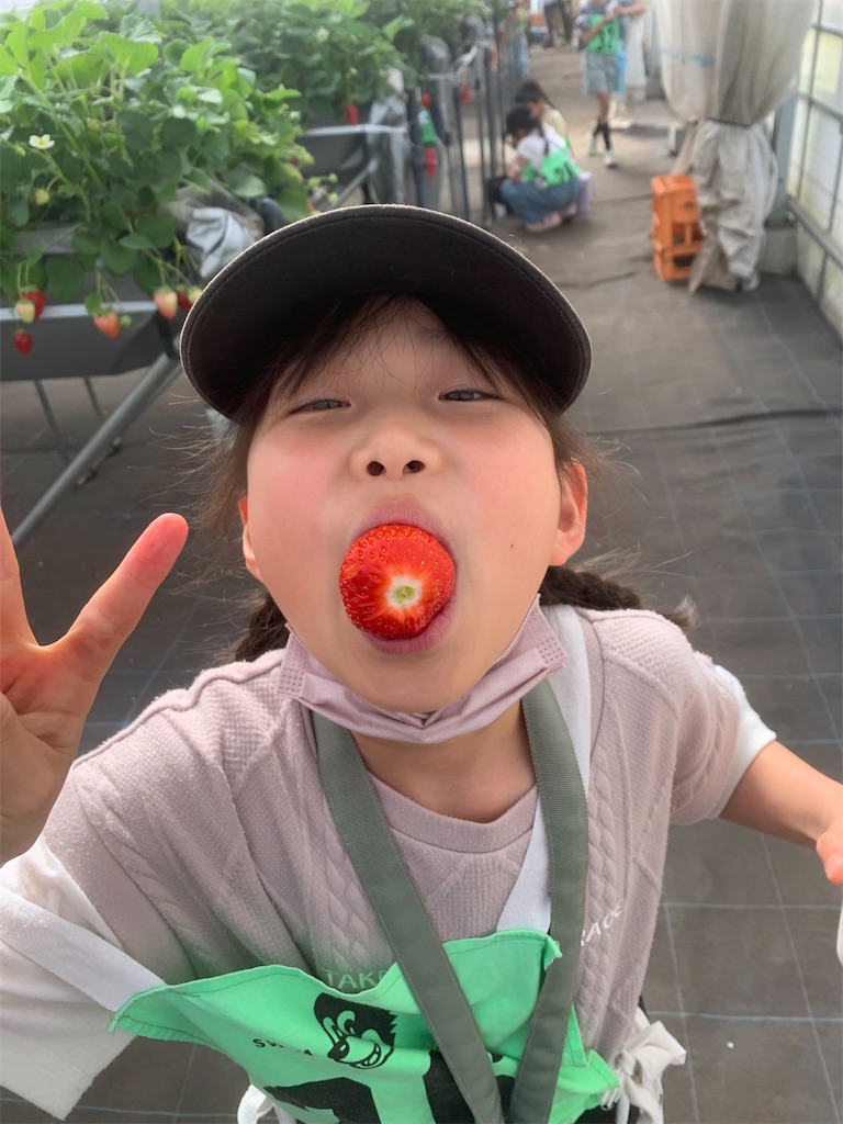 f:id:atsc:20240414143125j:image