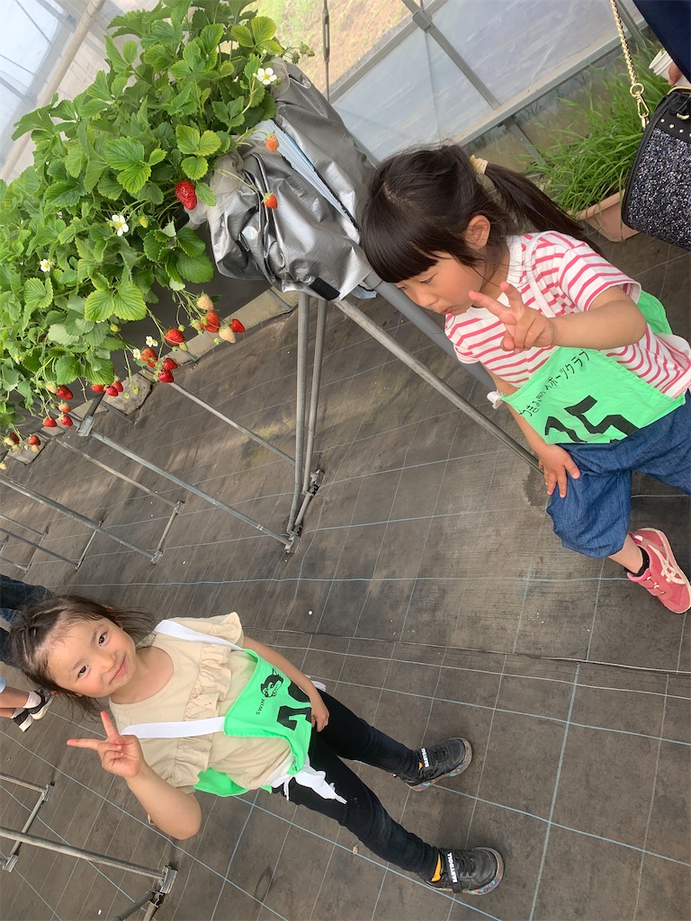 f:id:atsc:20240414143139j:image
