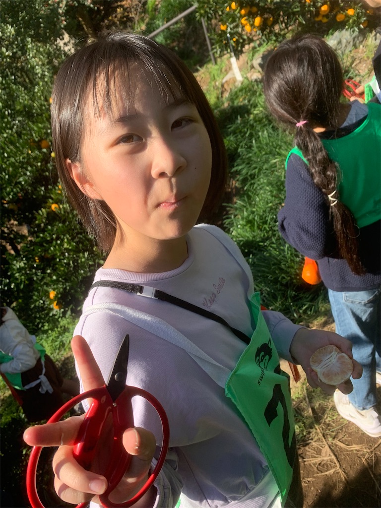 f:id:atsc:20241117143757j:image