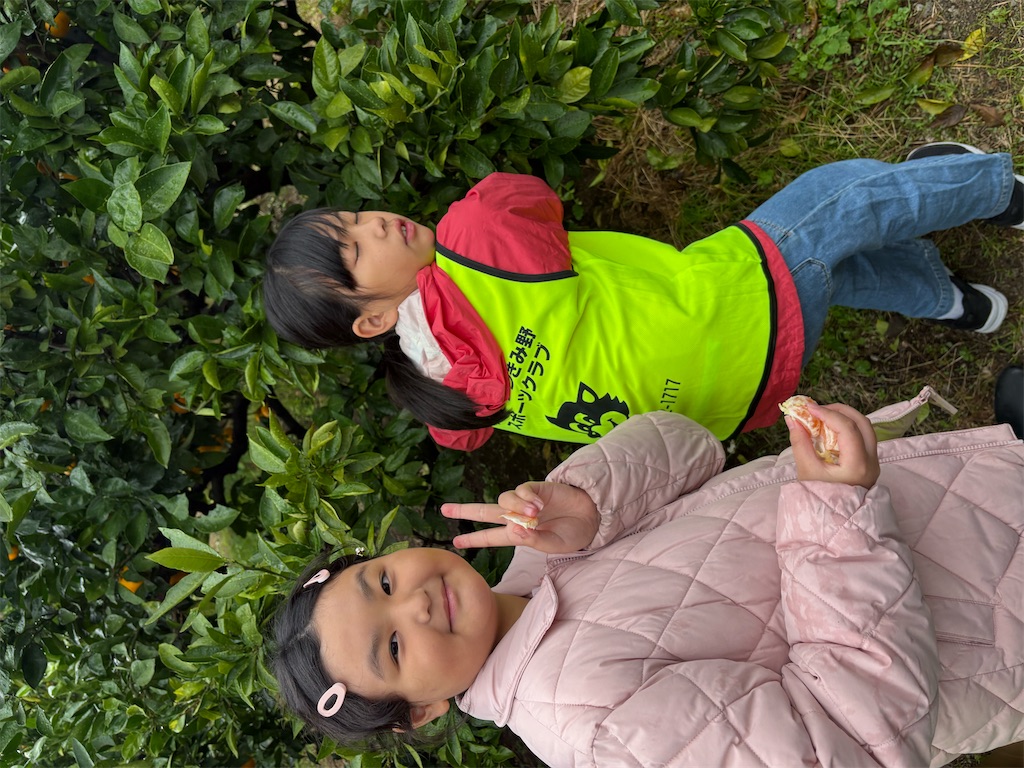 f:id:atsc:20251109092503j:image