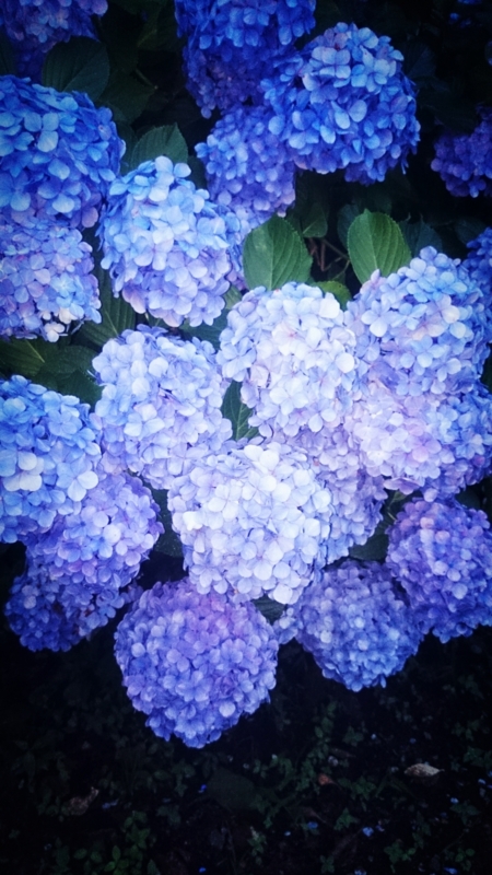 f:id:atsu07:20140707071015j:image