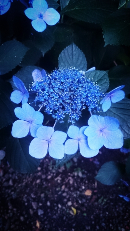 f:id:atsu07:20140707071016j:image