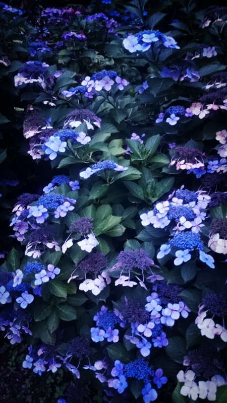 f:id:atsu07:20140707071017j:image