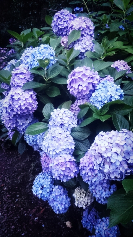 f:id:atsu07:20140707071018j:image