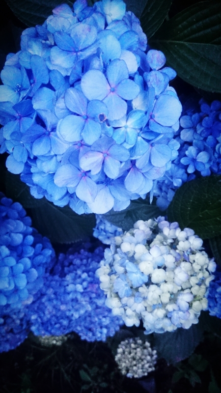 f:id:atsu07:20140707071019j:image