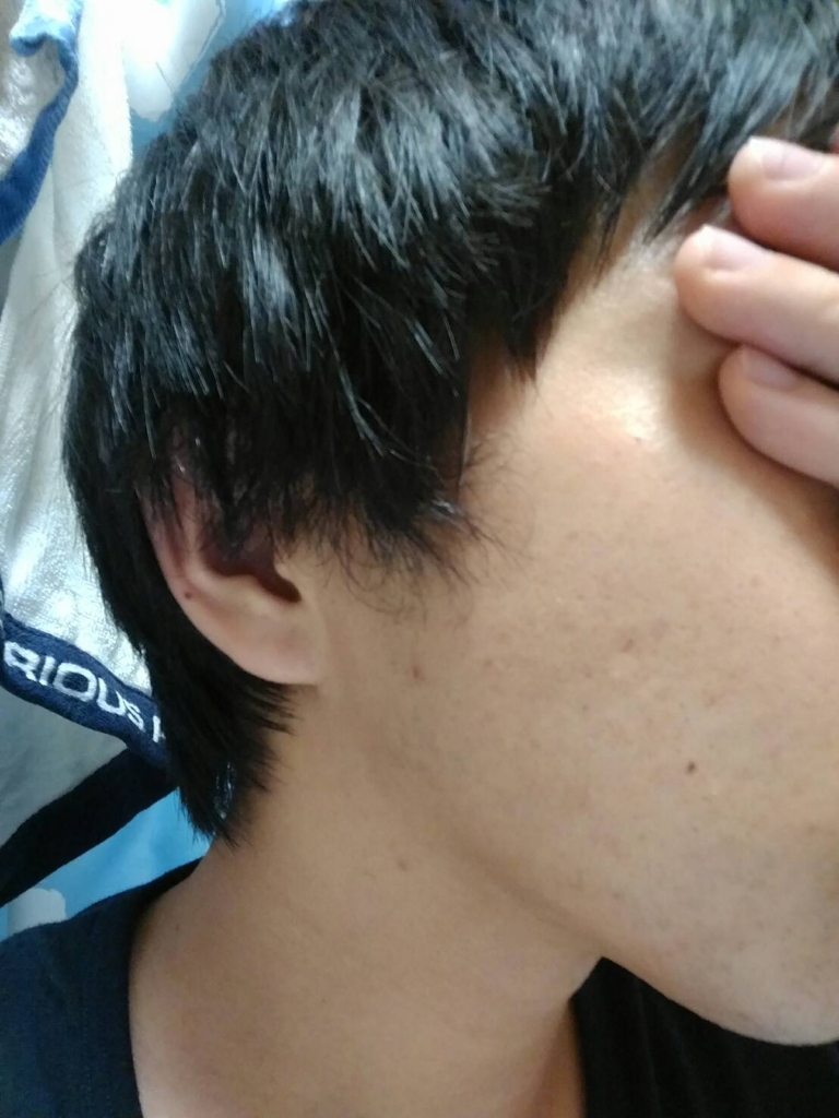 f:id:atsu623:20161003221547j:plain