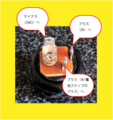 f:id:atsu_psyan:20120823144313j:image:medium f:id:atsu_psyan:20120823144313j:image:medium