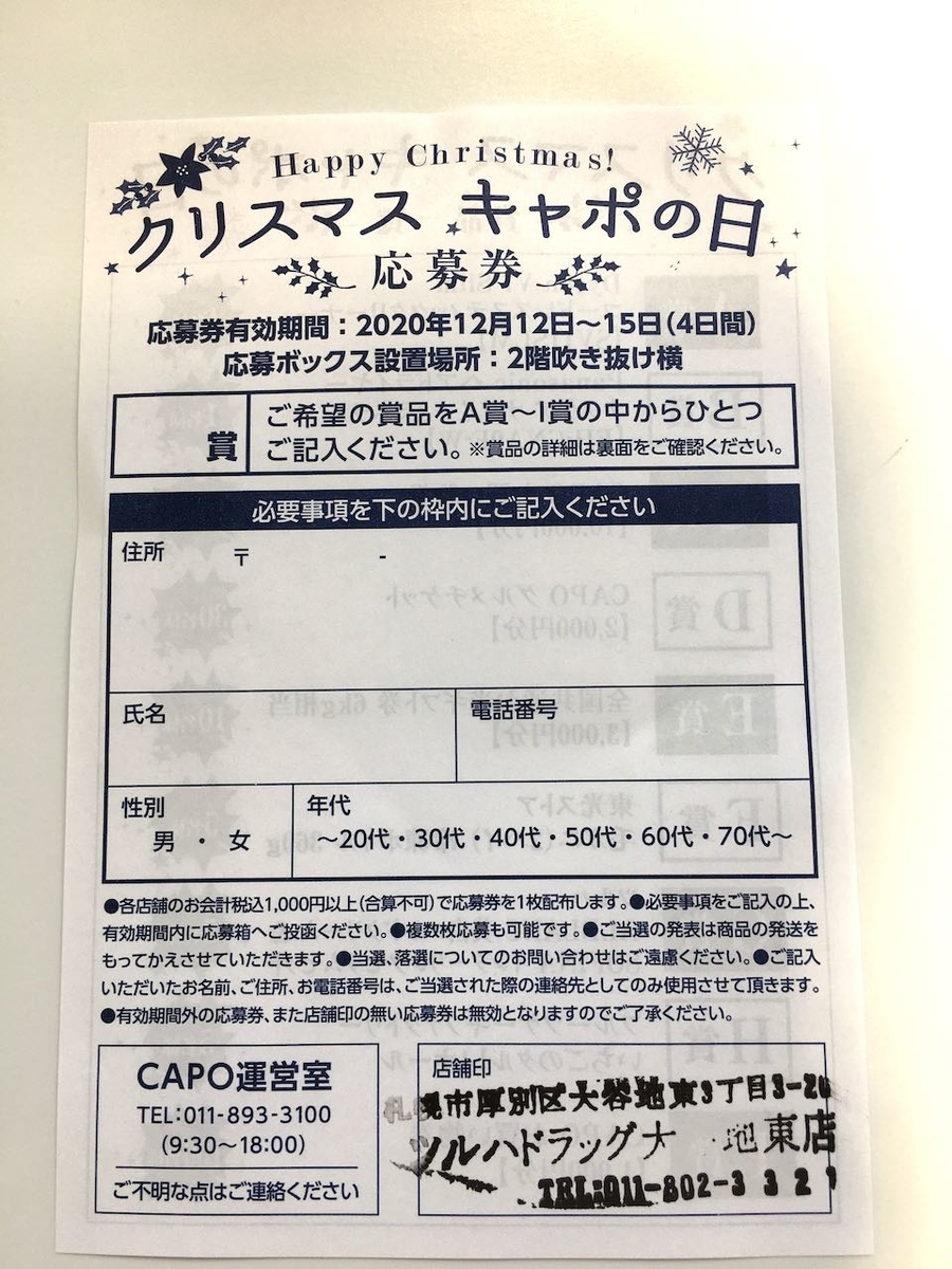f:id:atsubetsu:20201212161651j:plain