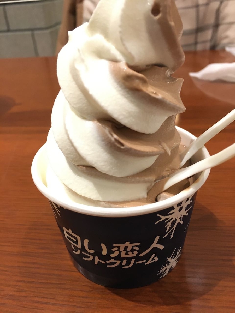 f:id:atsubetsu:20210131225542j:plain