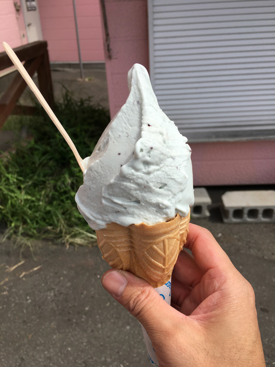 f:id:atsubetsu:20210814171100j:plain