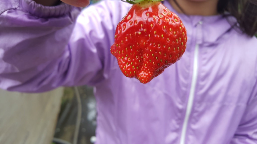 f:id:atsugiebina:20160425001213j:plain