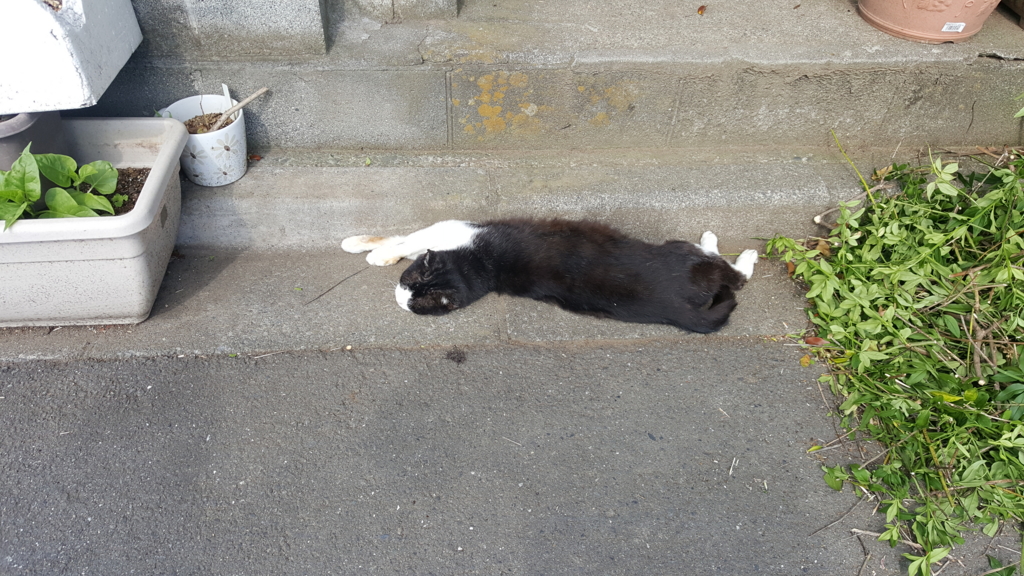 f:id:atsugiebina:20160621164832j:plain