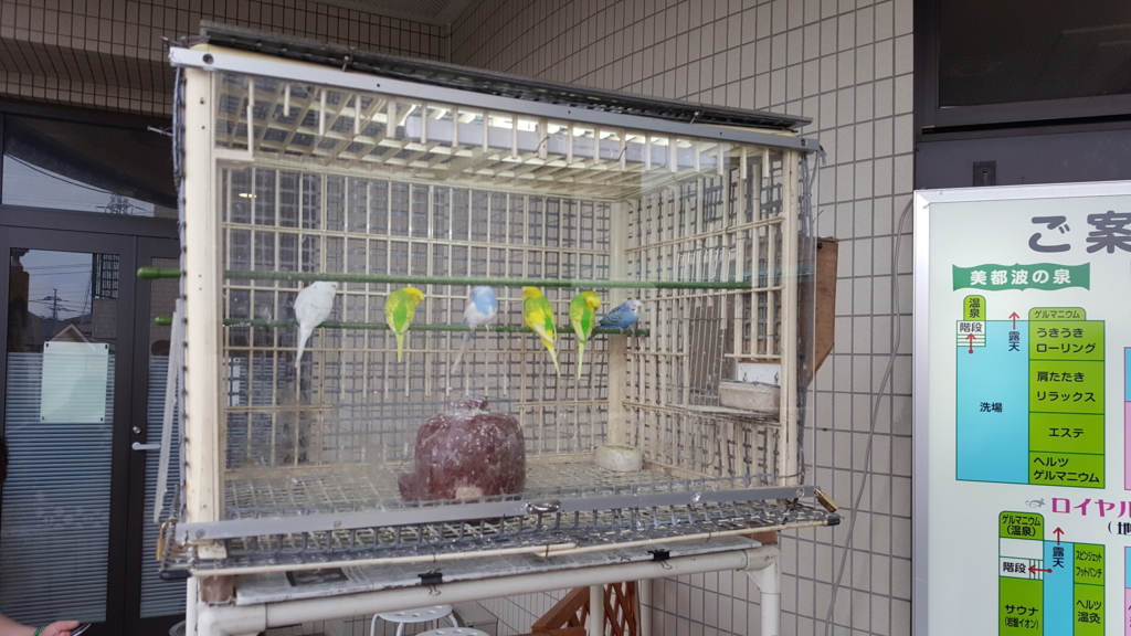 f:id:atsugiebina:20160621165718j:plain