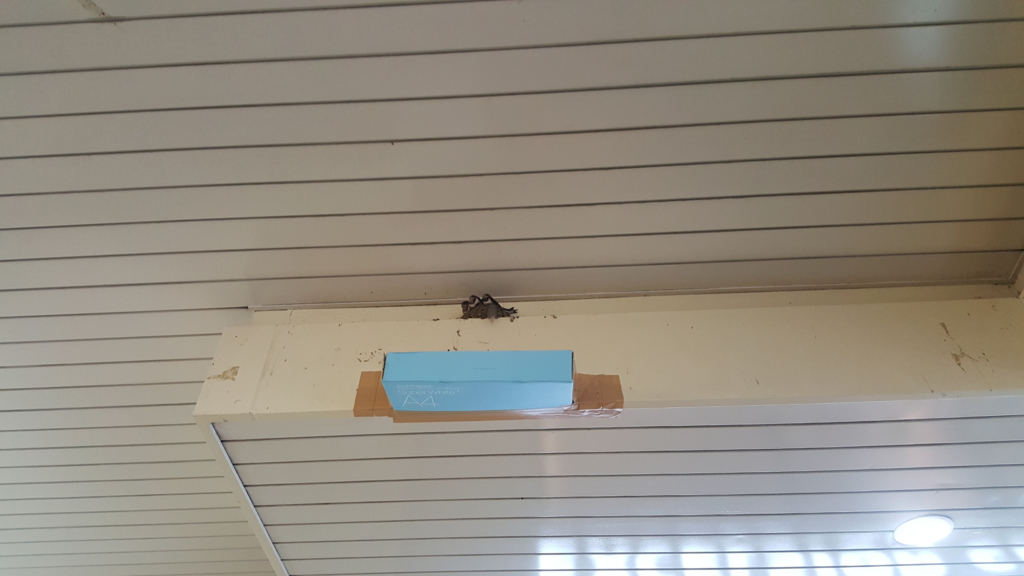 f:id:atsugiebina:20160718221723j:plain