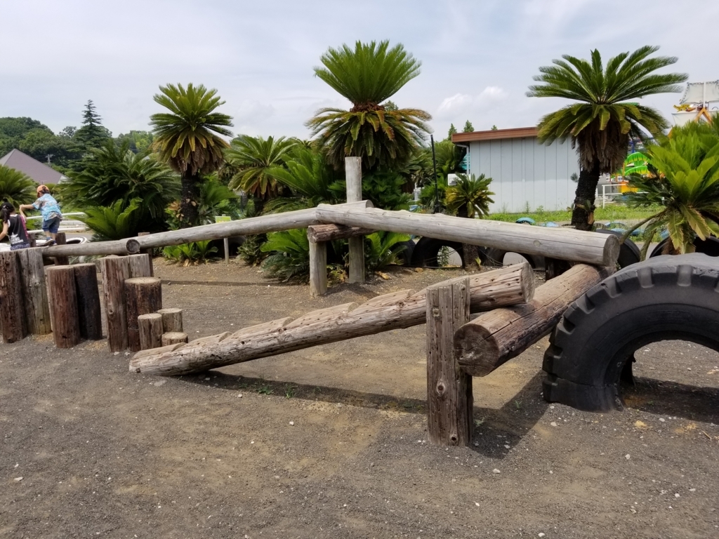 f:id:atsugiebina:20170720061342j:plain