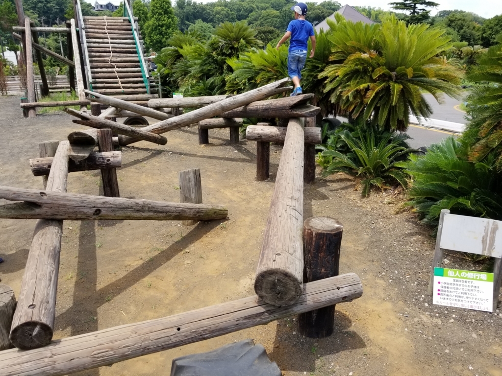 f:id:atsugiebina:20170720061359j:plain