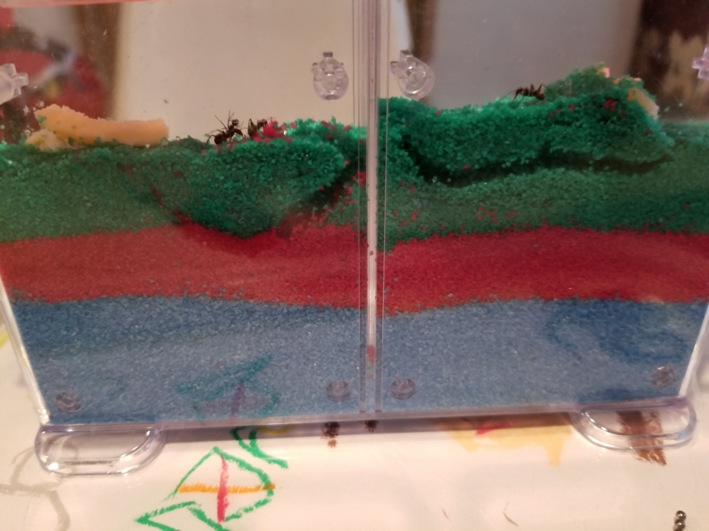 f:id:atsugiebina:20170806051006j:plain f:id:atsugiebina:20170806051006j:plain