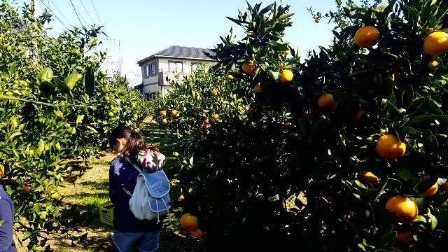 f:id:atsugiebina:20171105132433j:image f:id:atsugiebina:20171105132433j:image