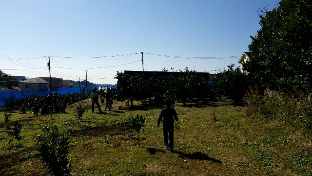 f:id:atsugiebina:20171105132449j:image f:id:atsugiebina:20171105132449j:image