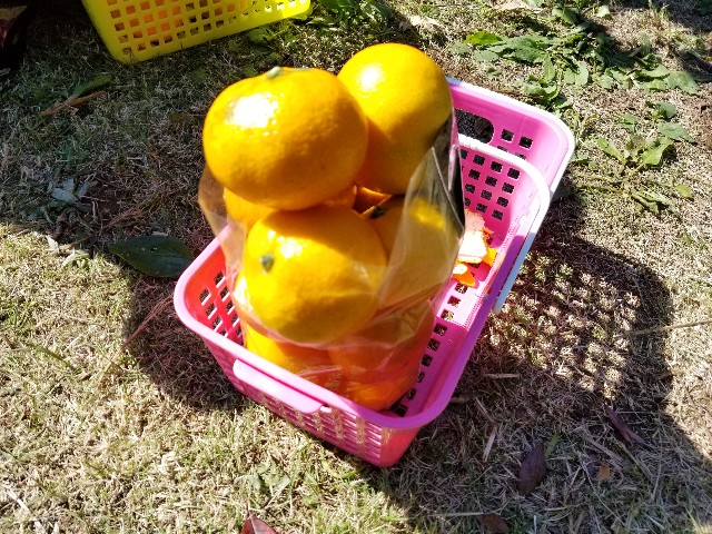 f:id:atsugiebina:20171105132750j:image f:id:atsugiebina:20171105132750j:image