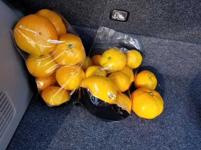 f:id:atsugiebina:20171105132813j:image f:id:atsugiebina:20171105132813j:image