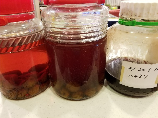 f:id:atsugiebina:20171110084302j:image