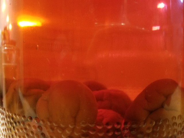 f:id:atsugiebina:20171110084548j:image