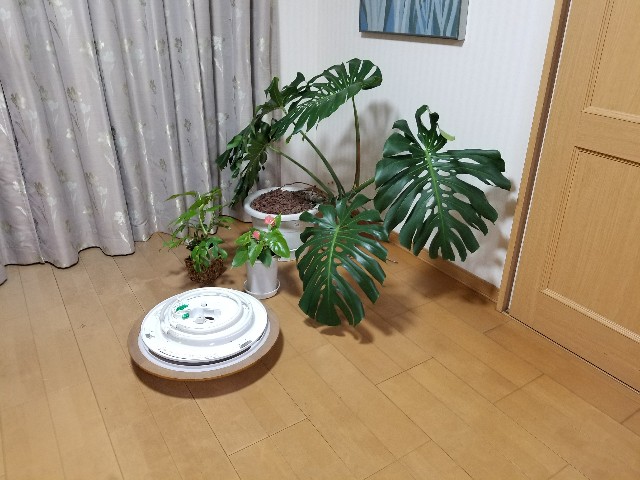 f:id:atsugiebina:20180129195055j:image