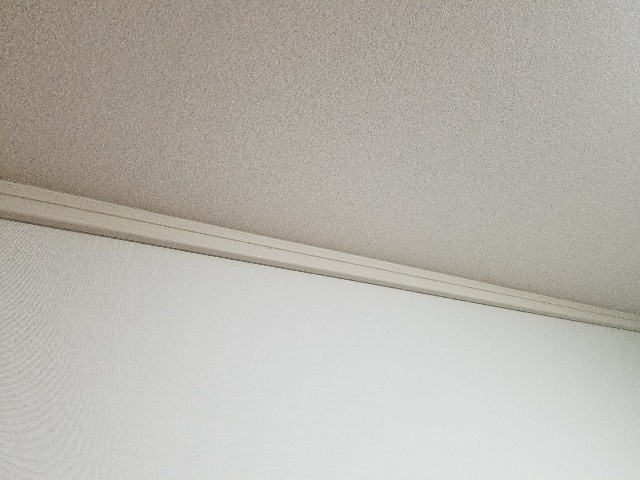 f:id:atsugiebina:20180203210202j:image