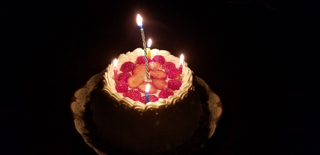 f:id:atsugiebina:20181201195948j:image