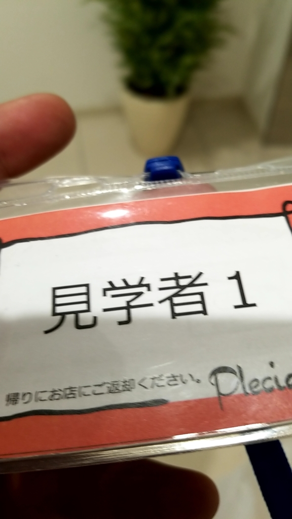 f:id:atsugiebina:20190227233252j:plain
